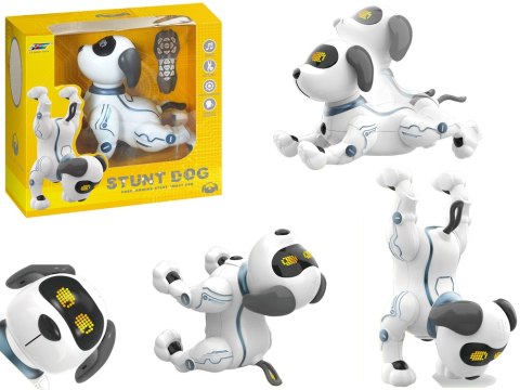 Interaktywny Tańczący Pies Robot Muzyka Zdalnie Sterowany Interaktywny Tańczący Pies Robot Muzyka Zdalnie Sterowany