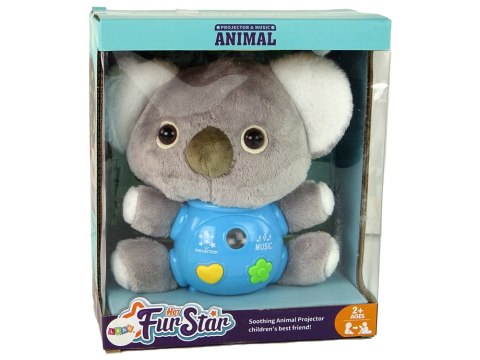 Koala Projektor Dźwięki Zabawka Interaktywna Szara Koala Projektor Dźwięki Zabawka Interaktywna Szara