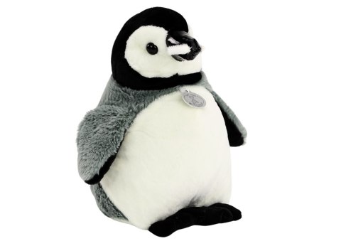 Pingwin Maskotka Pluszowa Przytulanka Pluszak Szary 25 cm Pingwin Maskotka Pluszowa Przytulanka Pluszak Szary 25 cm
