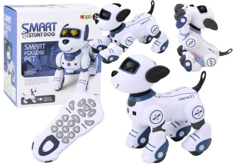 Robot Pies Interaktywny Zdalnie Sterowany Tańczy Wykonuje Polecenia Niebieski Robot Pies Interaktywny Zdalnie Sterowany Tańczy Wykonuje Polecenia Niebieski
