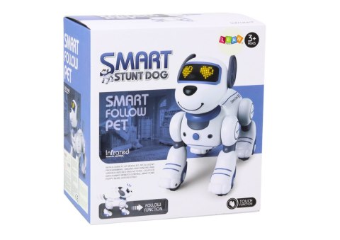 Robot Pies Interaktywny Zdalnie Sterowany Tańczy Wykonuje Polecenia Niebieski Robot Pies Interaktywny Zdalnie Sterowany Tańczy Wykonuje Polecenia Niebieski