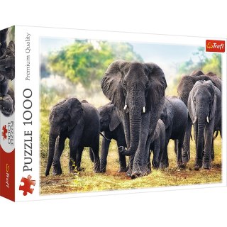 Puzzle - "1000" - Afrykańskie słonie / 500 px Trefl 10442