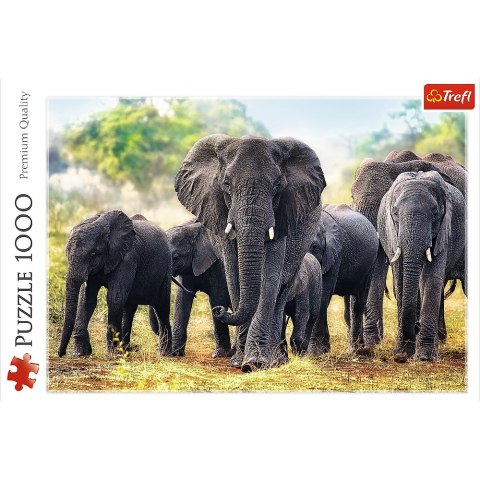Puzzle - "1000" - Afrykańskie słonie / 500 px Trefl 10442 Puzzle - "1000" - Afrykańskie słonie / 500 px Trefl 10442