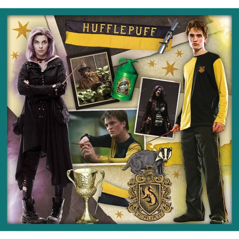 Puzzle 10w1 Harry Potter W świecie Harrego Pottera 90392