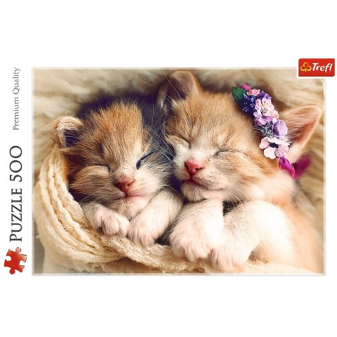 Puzzle 500 el. Śpiące kotki Trefl 37271 Puzzle 500 el. Śpiące kotki Trefl 37271