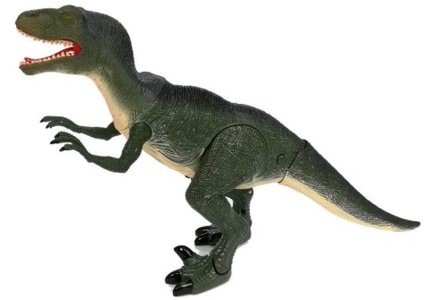 Dinozaur Velociraptor Porusza się Ryczy Świeci Dinozaur Velociraptor Porusza się Ryczy Świeci