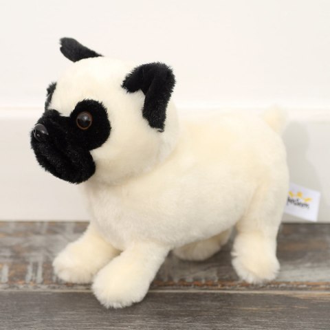 Pluszowa Maskotka Przytulanka Pies Mops Biały 19cm Pluszowa Maskotka Przytulanka Pies Mops Biały 19cm